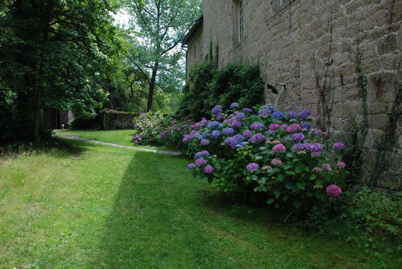 B&B Chateau Le Bois Saint-Julien-aux-Bois Ngoại thất bức ảnh