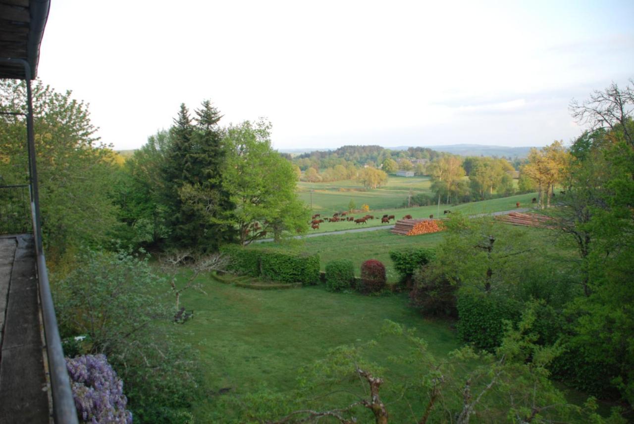 B&B Chateau Le Bois Saint-Julien-aux-Bois Ngoại thất bức ảnh